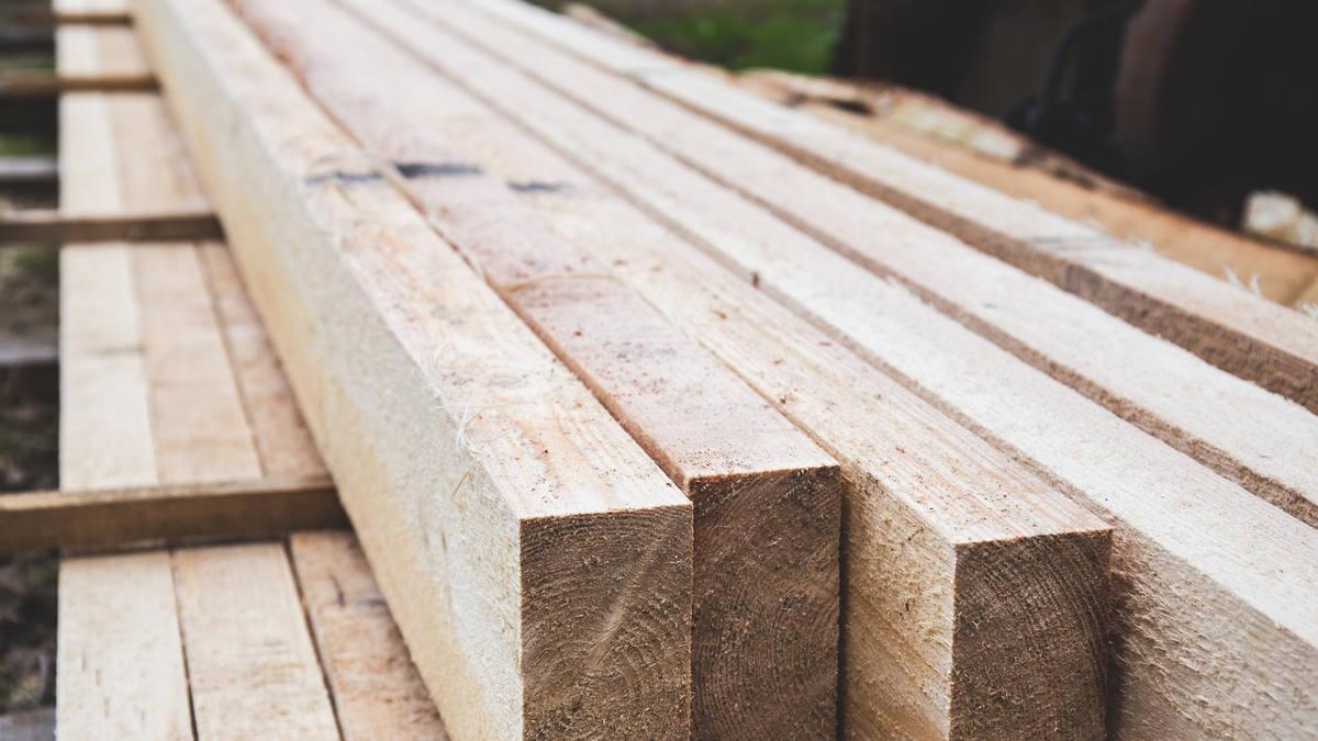 В СКО запустят крупный деревообрабатывающий проект на 70 млрд тенге