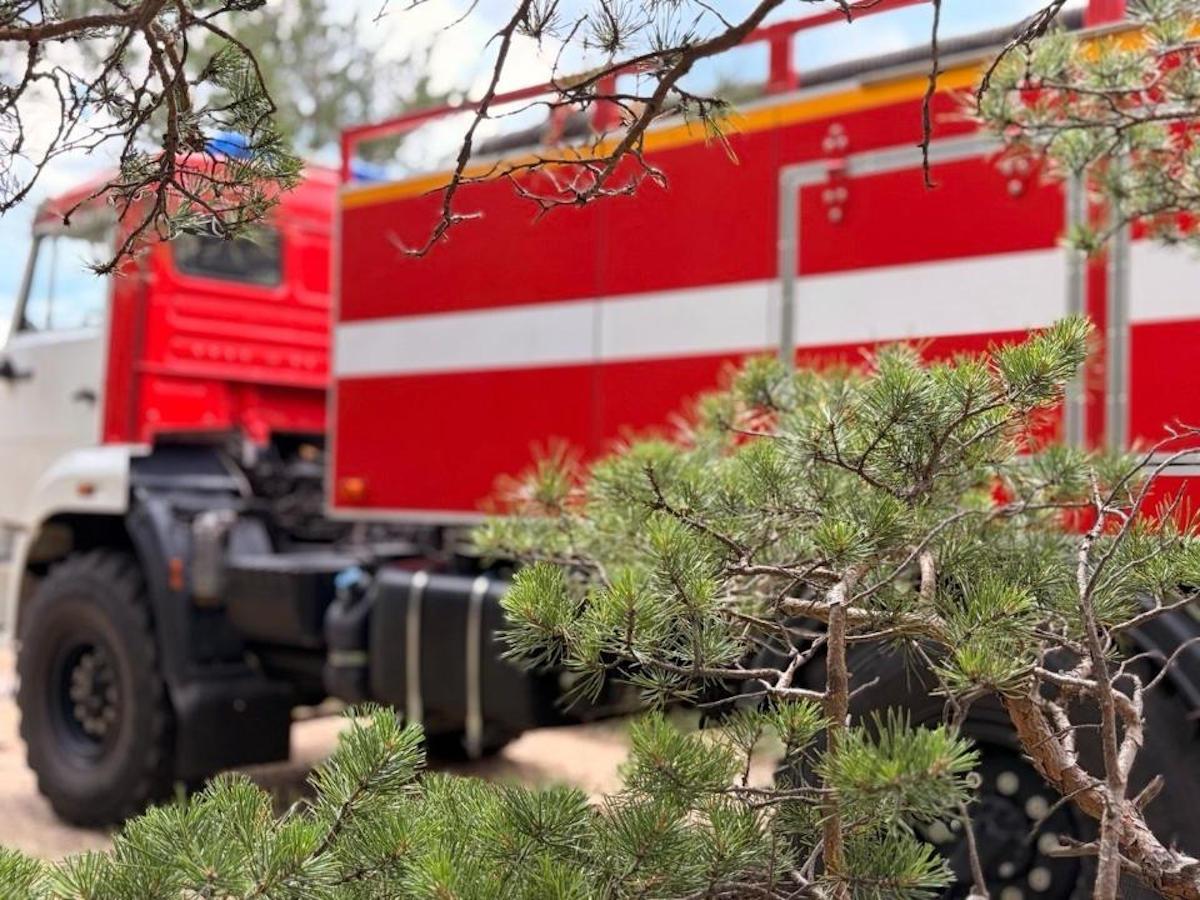 Лесной пожар от удара молнии оперативно потушили в нацпарке Бурабай