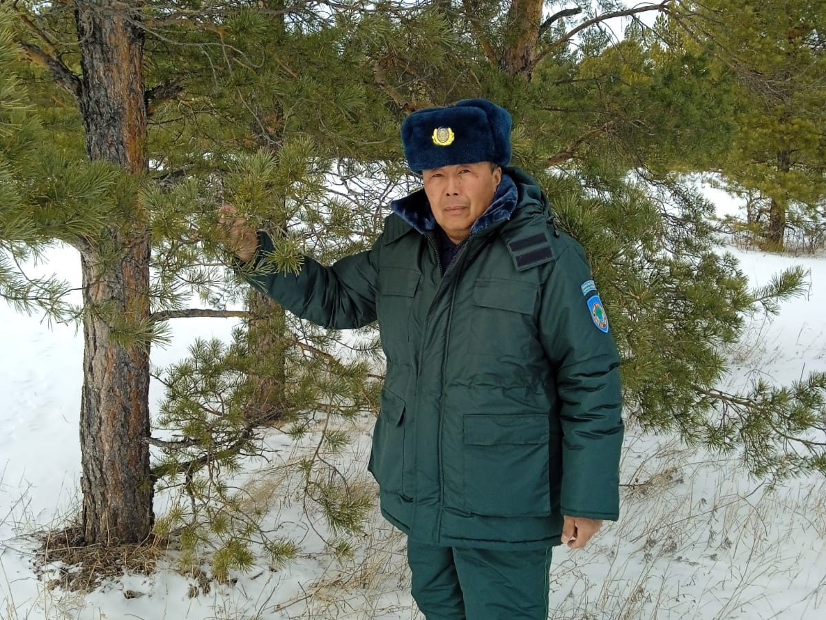 Как выращивают лес в ВКО: опыт лесника с 40-летним стажем