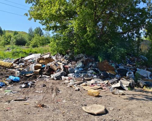 В Риддере штрафуют людей, из-за которых возникают стихийные свалки