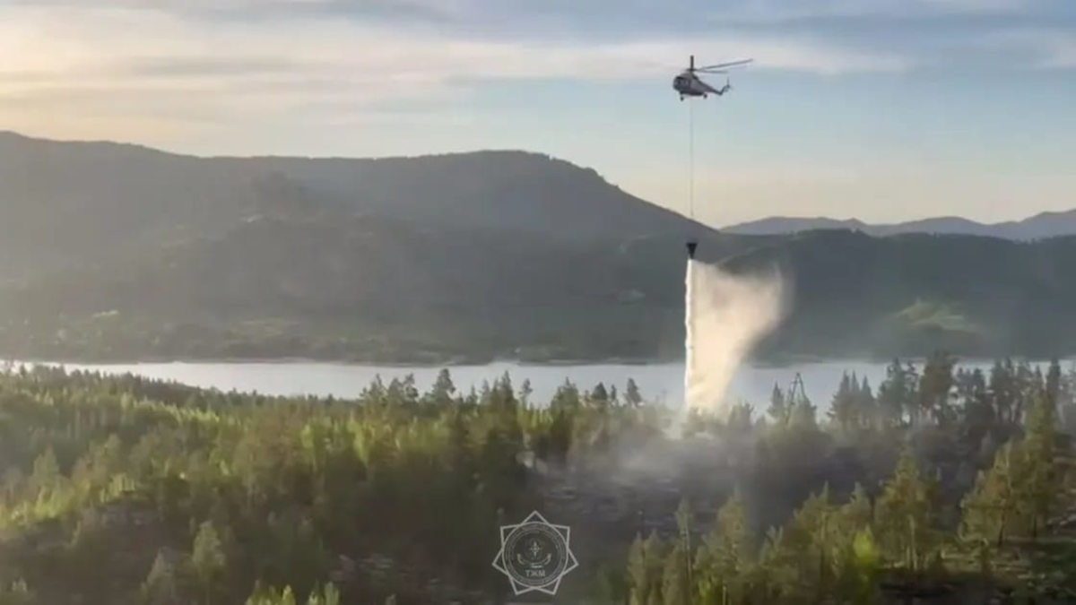 В ВКО локализовали пожар на побережье Бухтарминского водохранилища