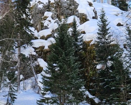 После сильных морозов в ВКО стали доступны маршруты по руслу Горной Ульбы