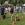 PET DOG FEST 2026: жителей Усть-Каменогорска приглашают на семейный фестиваль