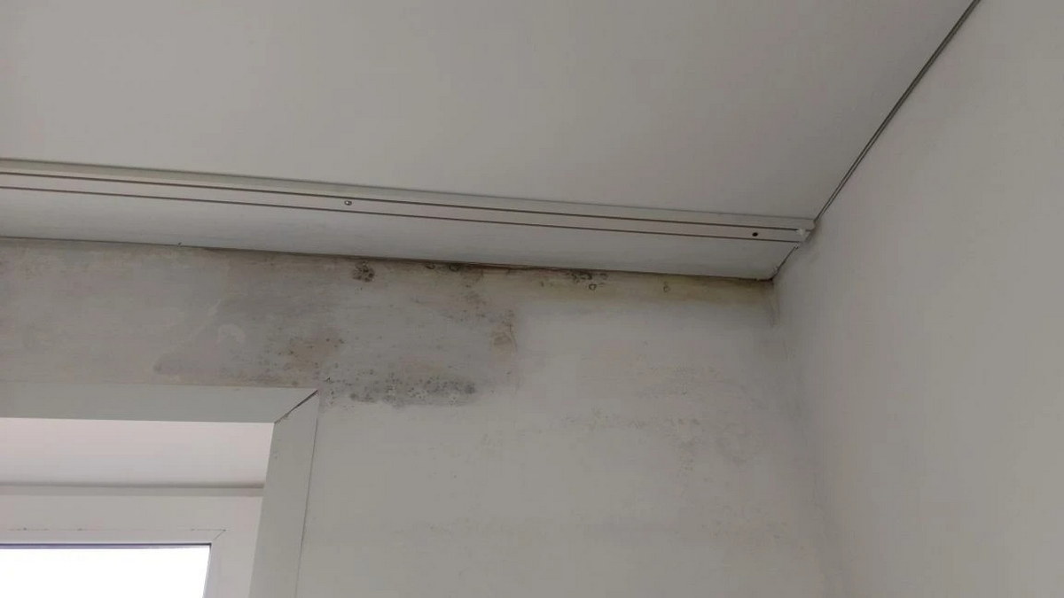 Многодетные семьи из Риддера жалуются на сырость в домах, построенных по программе «Одноэтажный Восток»