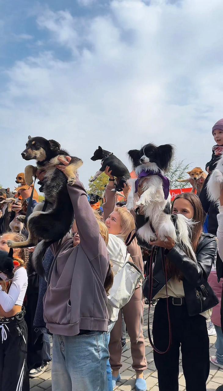 PET DOG FEST 2026 пройдет 5 сентября в Усть-Каменогорске