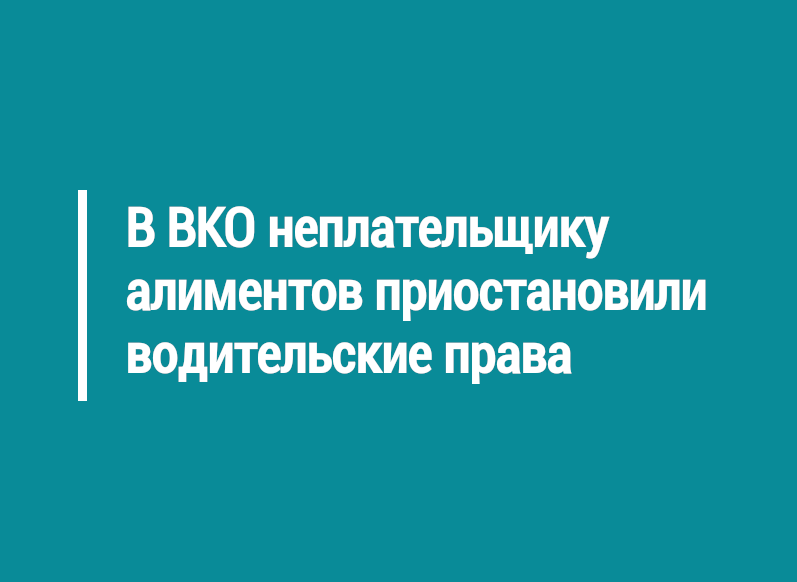 В районе Алтай неплательщику алиментов приостановили водительские права