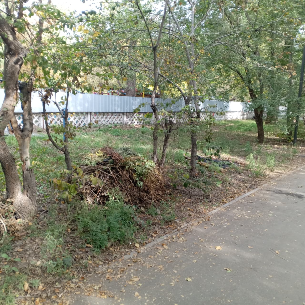 Высохший валежник вспыхнул рядом с детским садом в Усть-Каменогорске