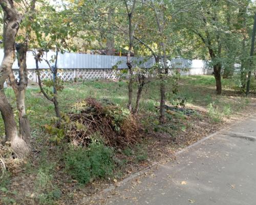 Высохший валежник вспыхнул рядом с детским садом в Усть-Каменогорске