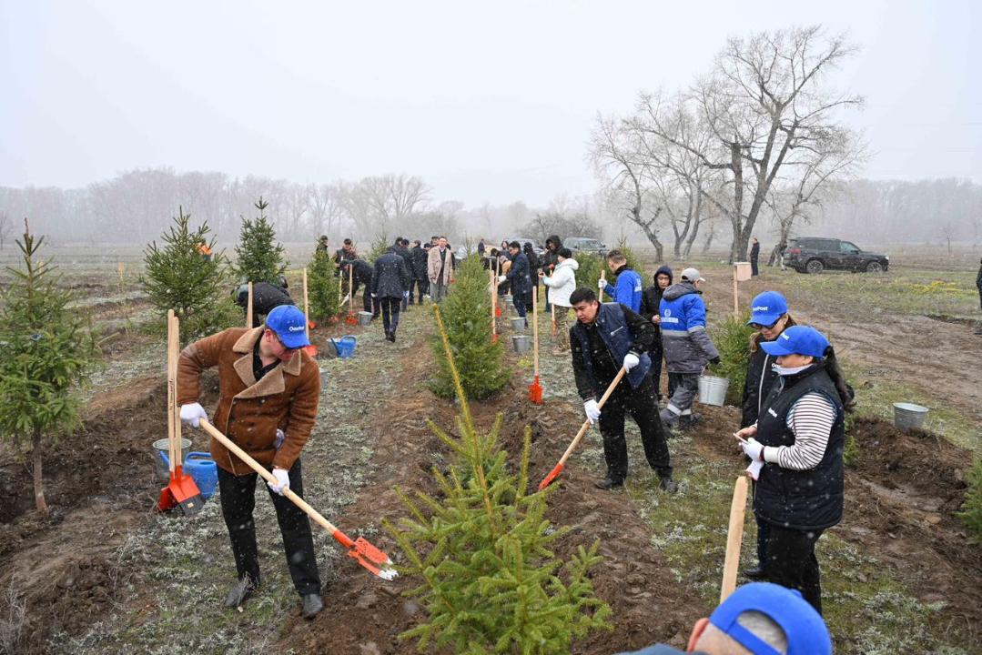 В Семее прошла экологическая акция с участием акима области и председателя правления Самрук-Казына