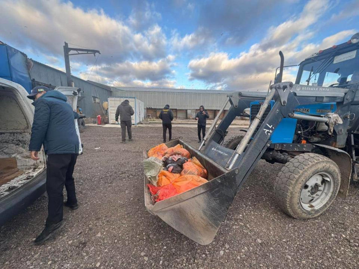 В Астане выявили мясной цех без разрешительных документов