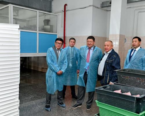 В Семее на птицефабрике ежегодно выращивают до 5 миллионов птиц