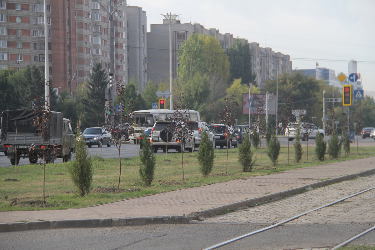 В Усть-Каменогорске проведут инвентаризацию зеленых насаждений
