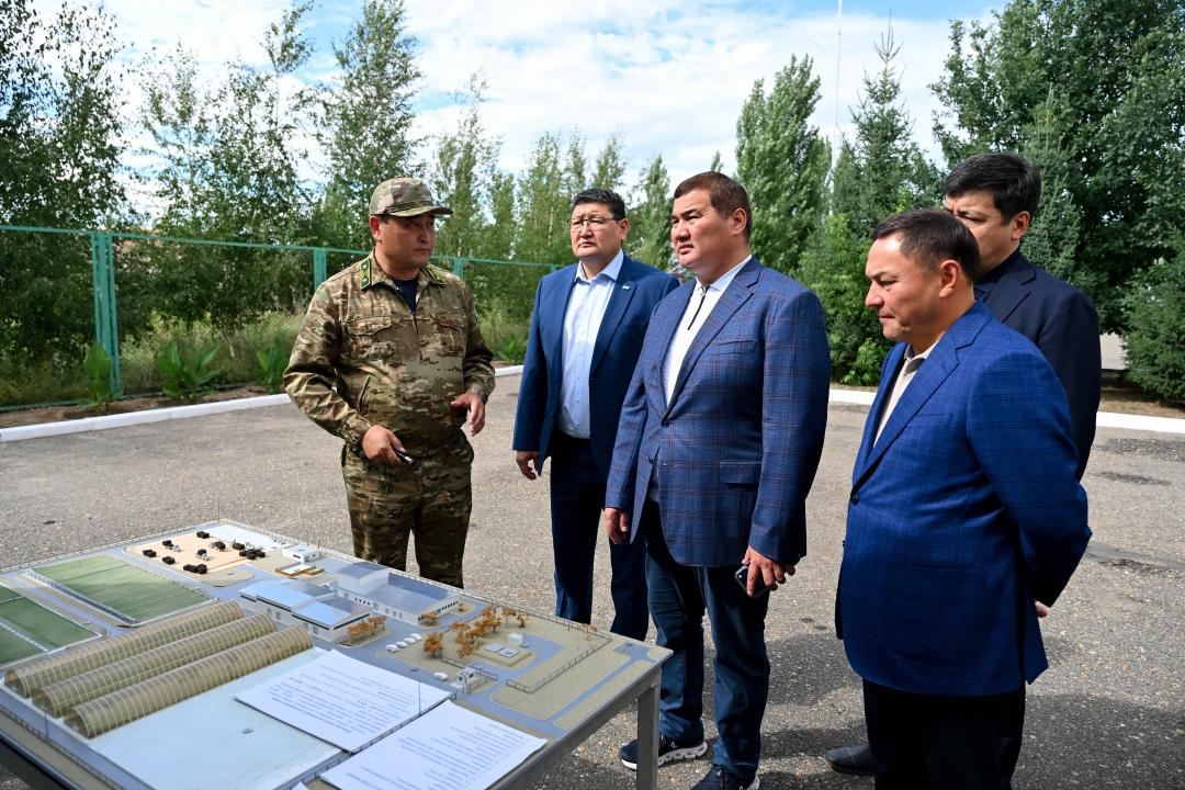 Леса «Семей орманы» восстанавливают с помощью уникальной технологии