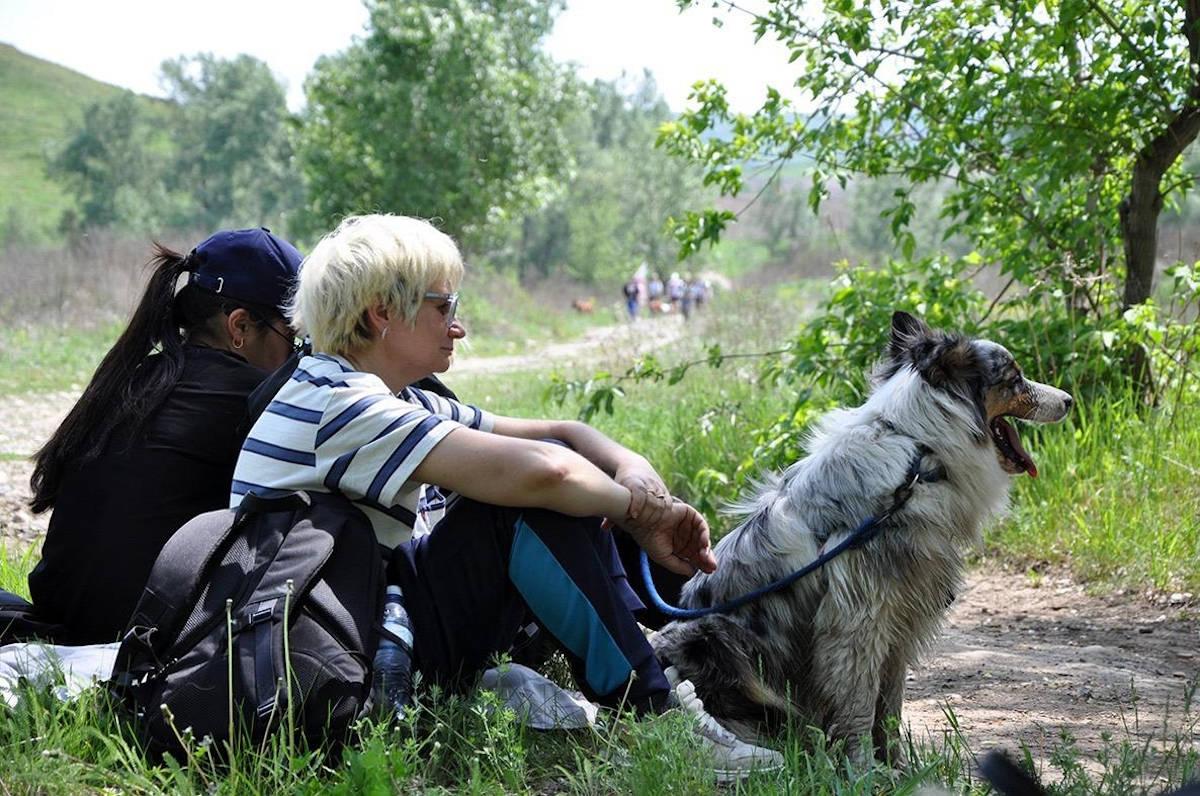 В Усть-Каменогорске владельцев собак приглашают в массовый поход 