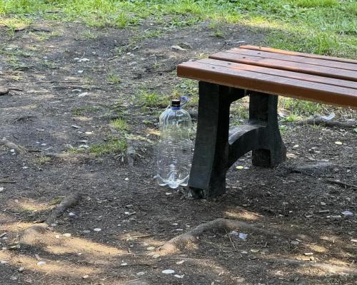Новые антивандальные лавочки «кочуют» по Центральному парку города Алтая