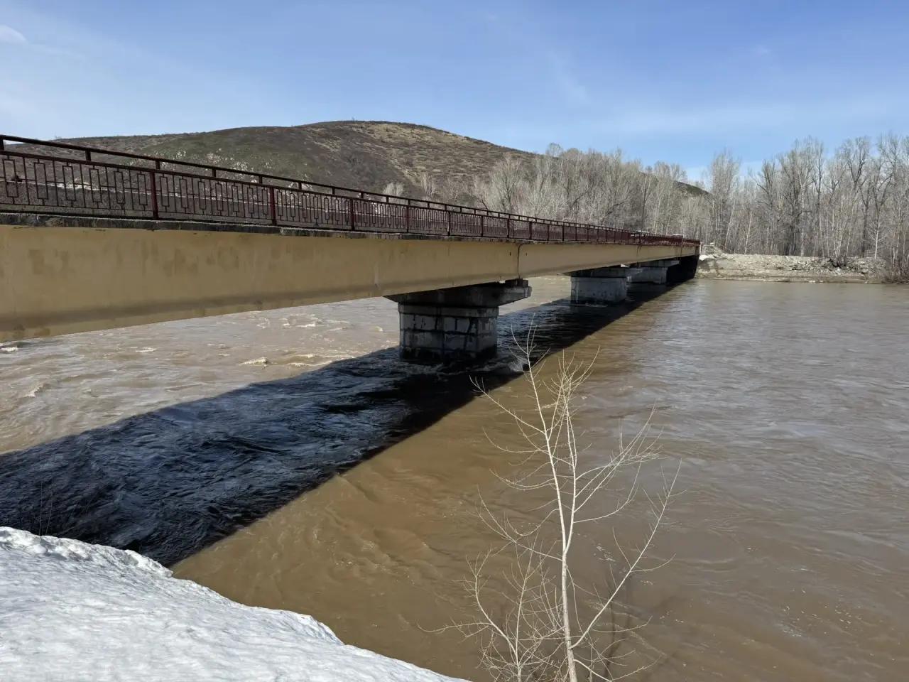 Аким ВКО ознакомился с паводковой ситуацией в районе Алтай