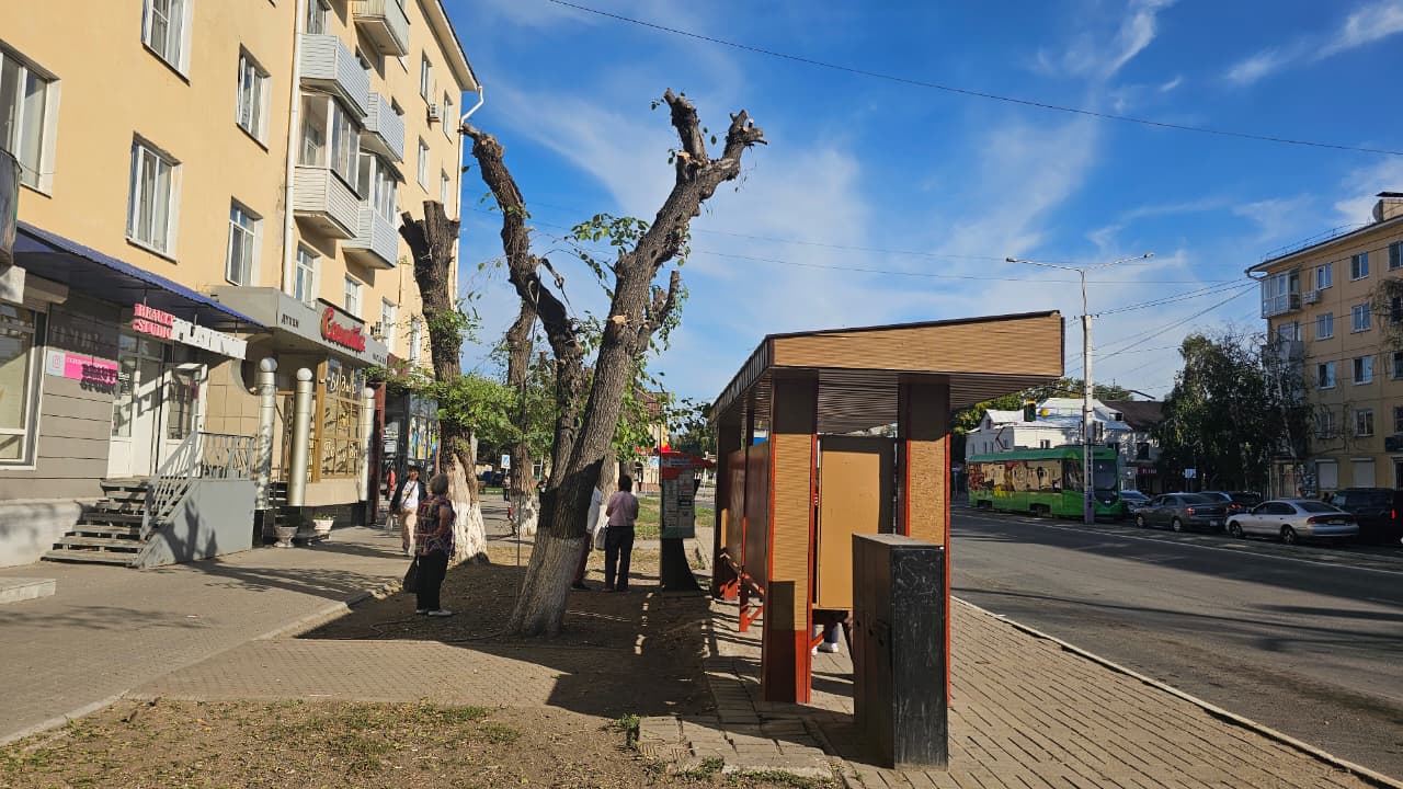В Усть-Каменогорске объяснили сильную обрезку деревьев на улице Нурмагамбетова