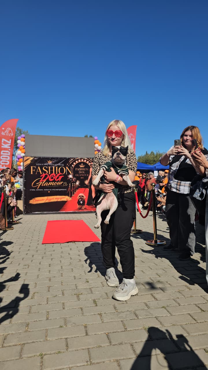 Собаки, конкурсы и помощь приютам: как прошёл PET DOG FEST 2026
