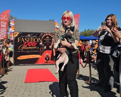 Собаки, конкурсы и помощь приютам: как прошёл PET DOG FEST 2026