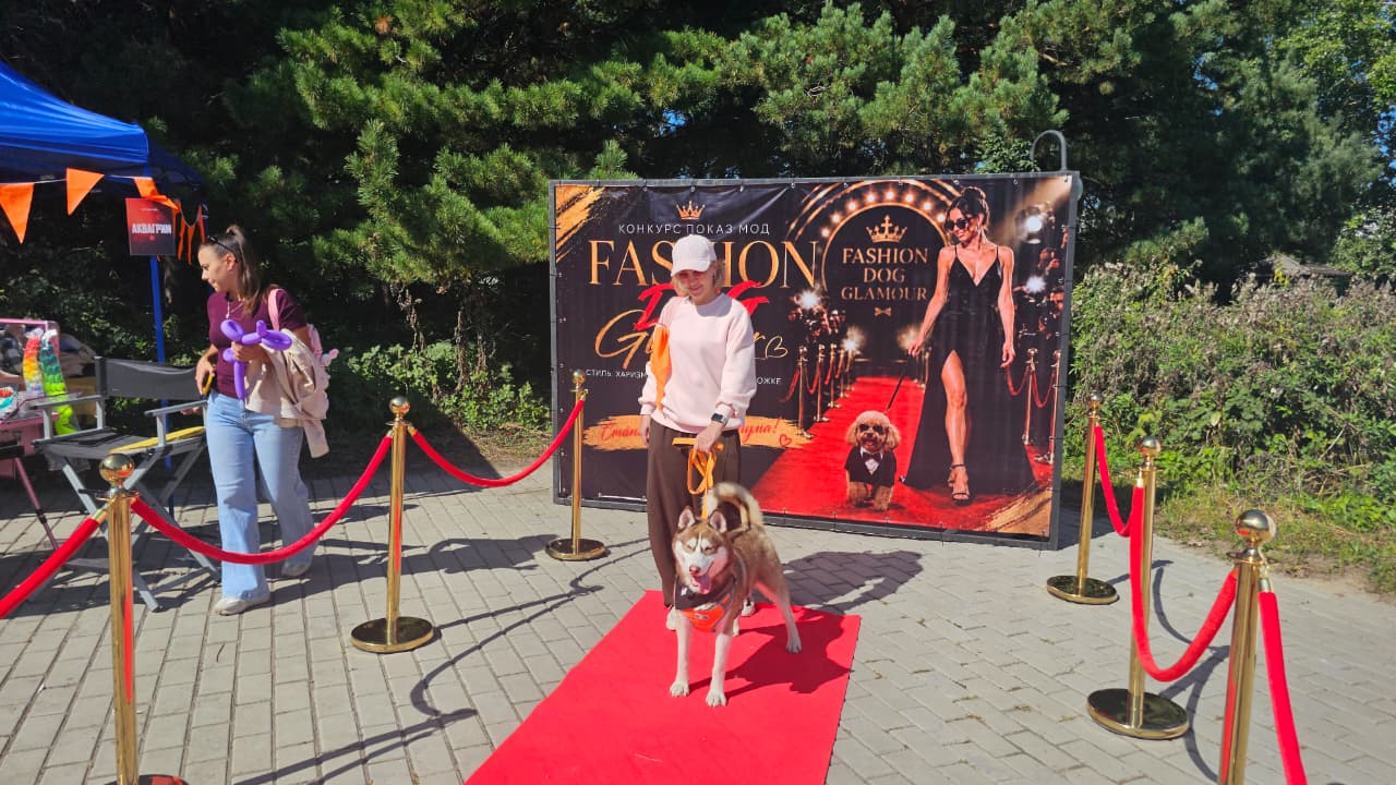 Собаки, конкурсы и помощь приютам: как прошёл PET DOG FEST 2026
