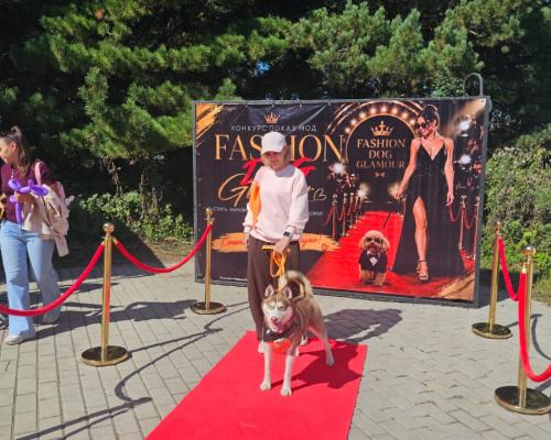 Собаки, конкурсы и помощь приютам: как прошёл PET DOG FEST 2026