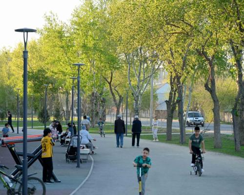 В Семее высадят 8 тысяч деревьев: как проходит озеленение горо