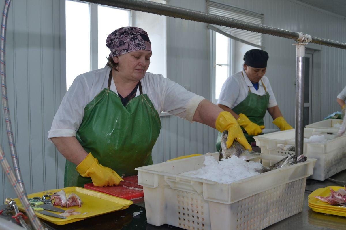 Самар ауданының әйелдері экономикаға қосқан үлестері үшін алғысқа ие болды