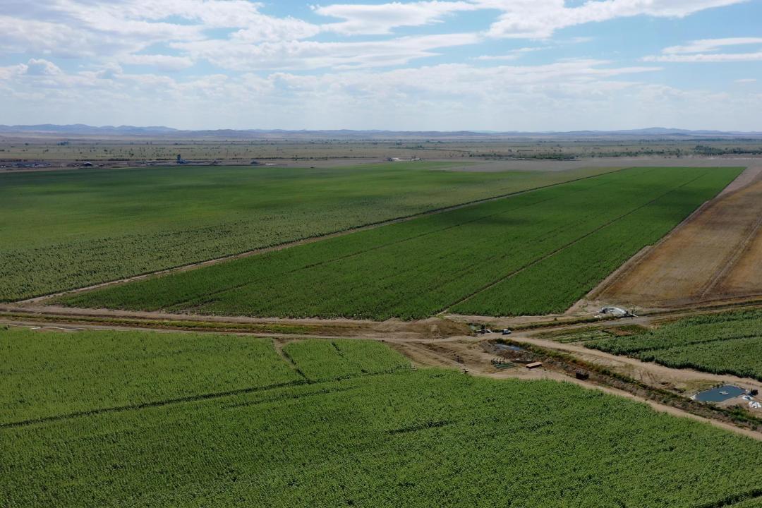 В области Абай рассмотрели ход подготовки к весенне-полевым работам