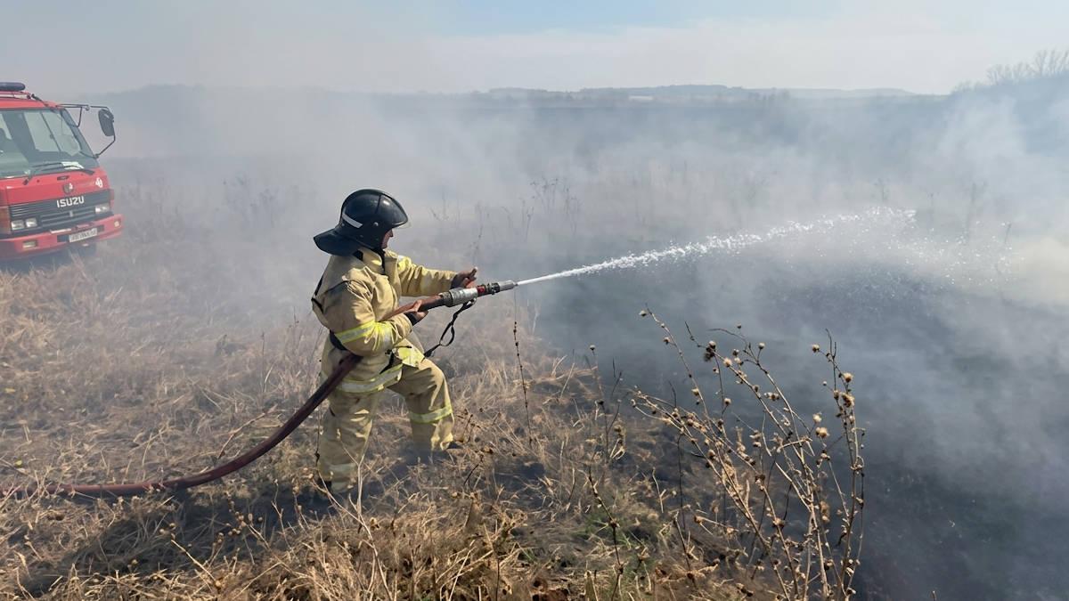 В ВКО на обширной территории горел сухостой