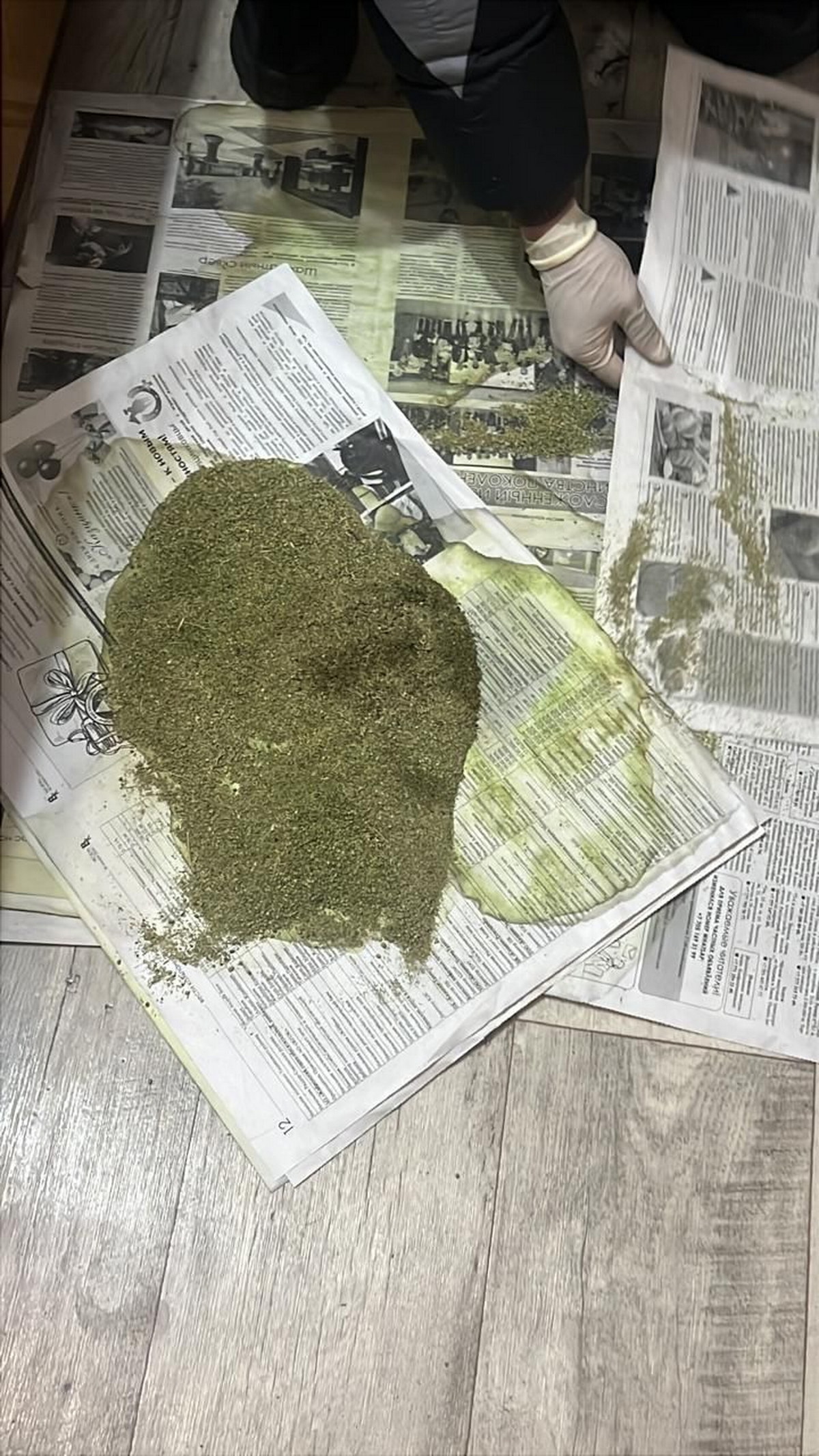 В Риддере в одной из квартир полицейские нашли свертки с высушенной марихуаной