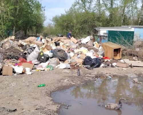 Риддерцы возмущены: почему город завален мусором?