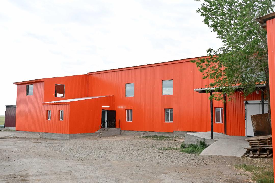 Рыбоперерабатывающий цех в Тассае поставляет продукцию на рынок Европы
