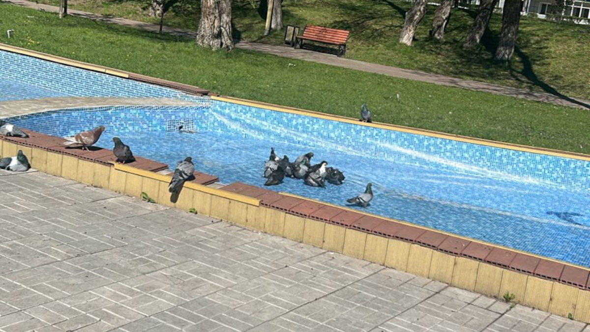 В Усть-Каменогорске чистят каскадные пруды на Комендантке