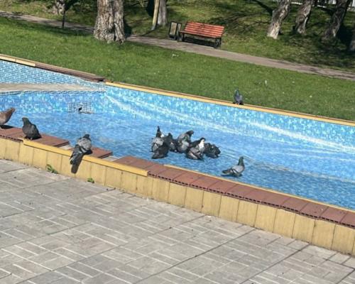 В Усть-Каменогорске чистят каскадные пруды на Комендантке