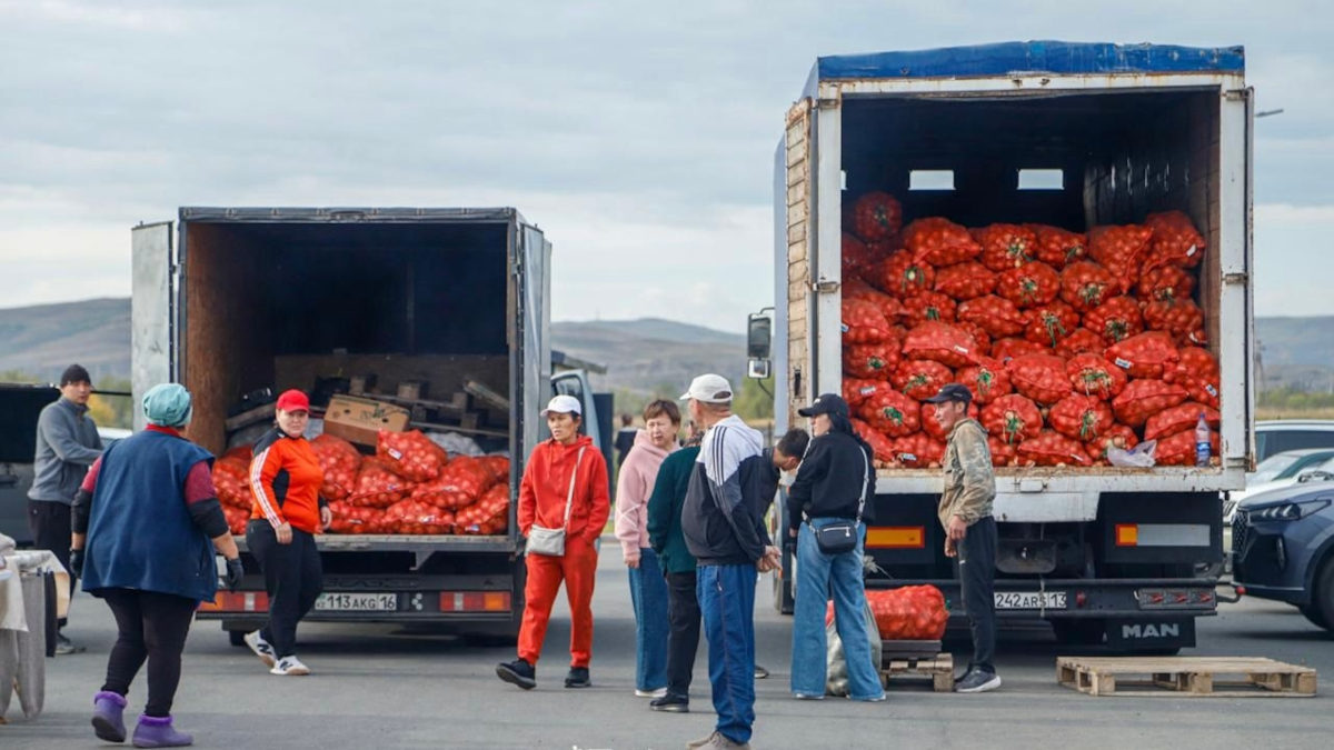 В Усть-Каменогорске на оптовке завышали цены на овощи