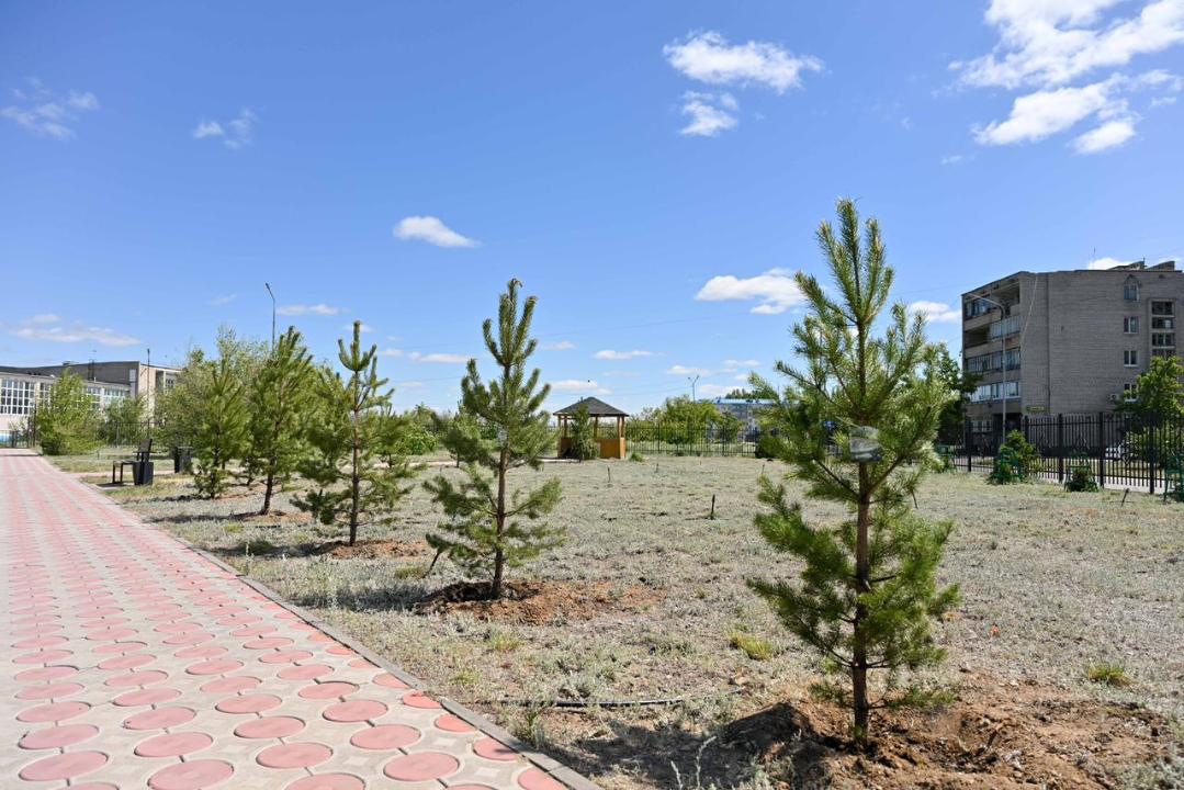 В области Абай молодежь объединилась на акции «Таза Қазақстан»