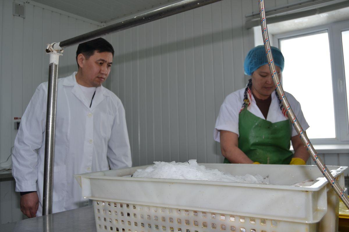 Самар ауданының әйелдері экономикаға қосқан үлестері үшін алғысқа ие болды