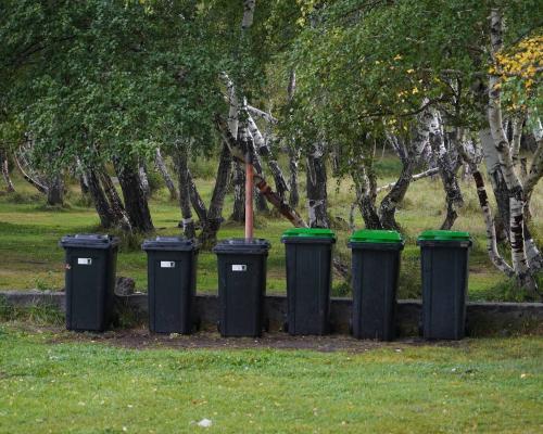 В ВКО провели субботник на берегу озера Шыбындыколь