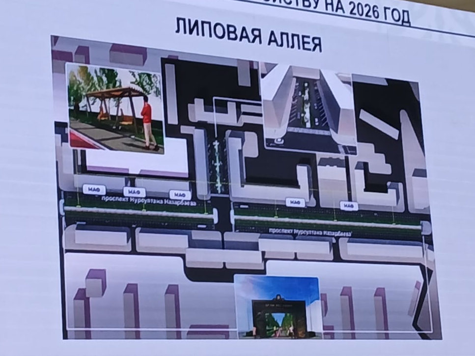 В Усть-Каменогорске благоустроят липовую аллею