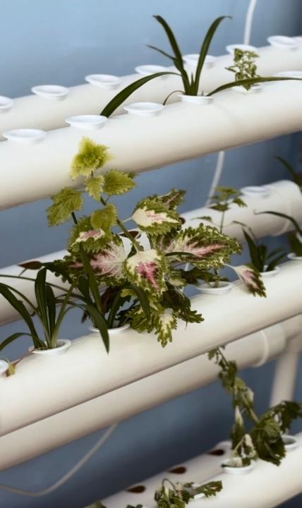 Цветы жизни: как в детском саду в Семее поддержали акцию «Таза Қазақстан»