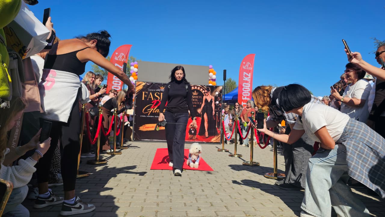 Собаки, конкурсы и помощь приютам: как прошёл PET DOG FEST 2026