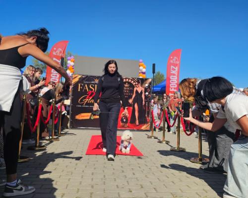 Собаки, конкурсы и помощь приютам: как прошёл PET DOG FEST 2026