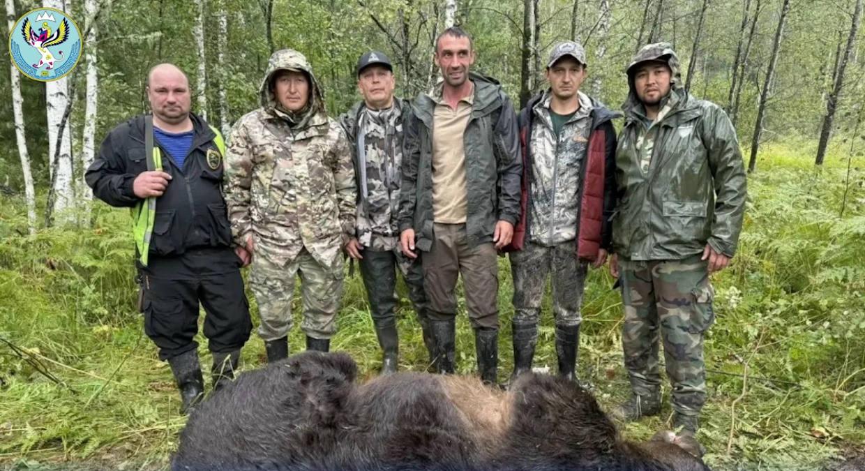 После гибели туристки на Алтае за два дня ликвидировали 12 медведей