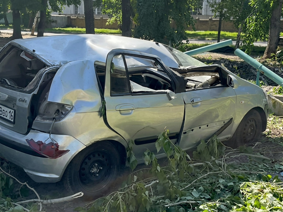 В Усть-Каменогорске упавшие деревья повредили авто