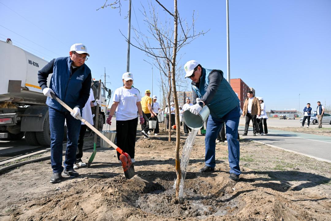 В Семее стартовало масштабное озеленение: план — 2200 деревьев