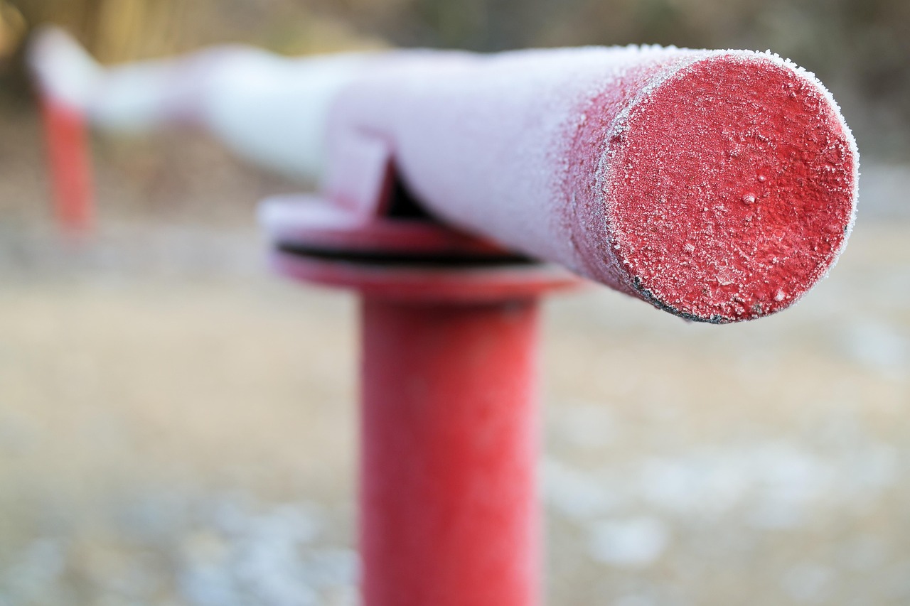 Россия вводит новые требования для въезжающих казахстанцев