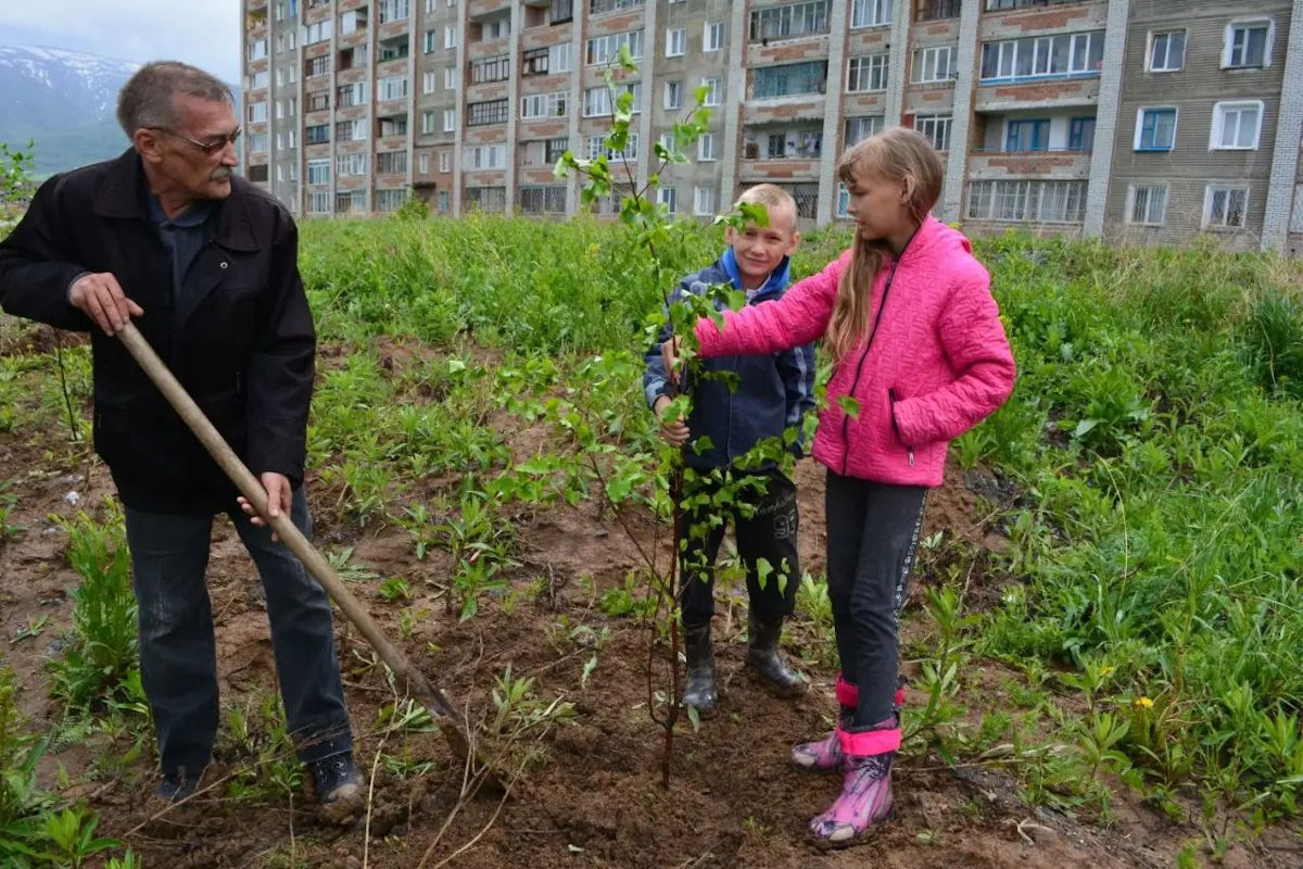 В Риддере предлагают создать лесной кластер