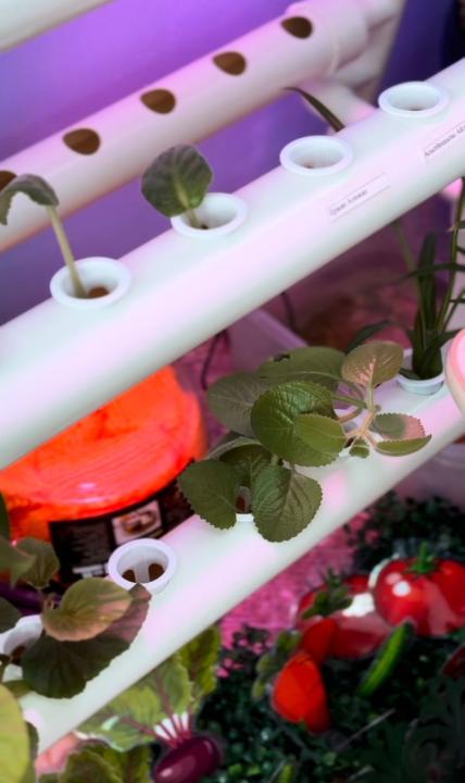 Цветы жизни: как в детском саду в Семее поддержали акцию «Таза Қазақстан»