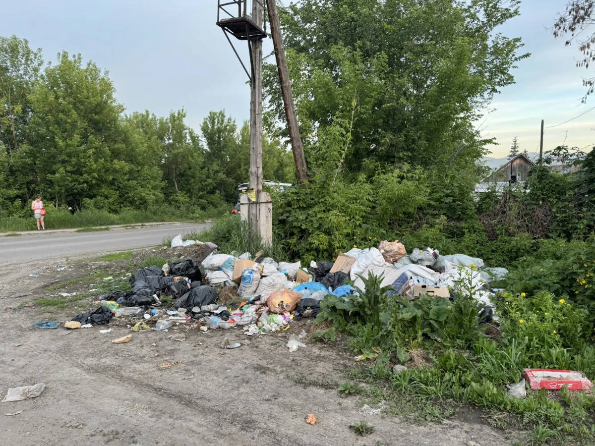 На одной из улиц частного сектора города Алтая устроили несанкционированную свалку