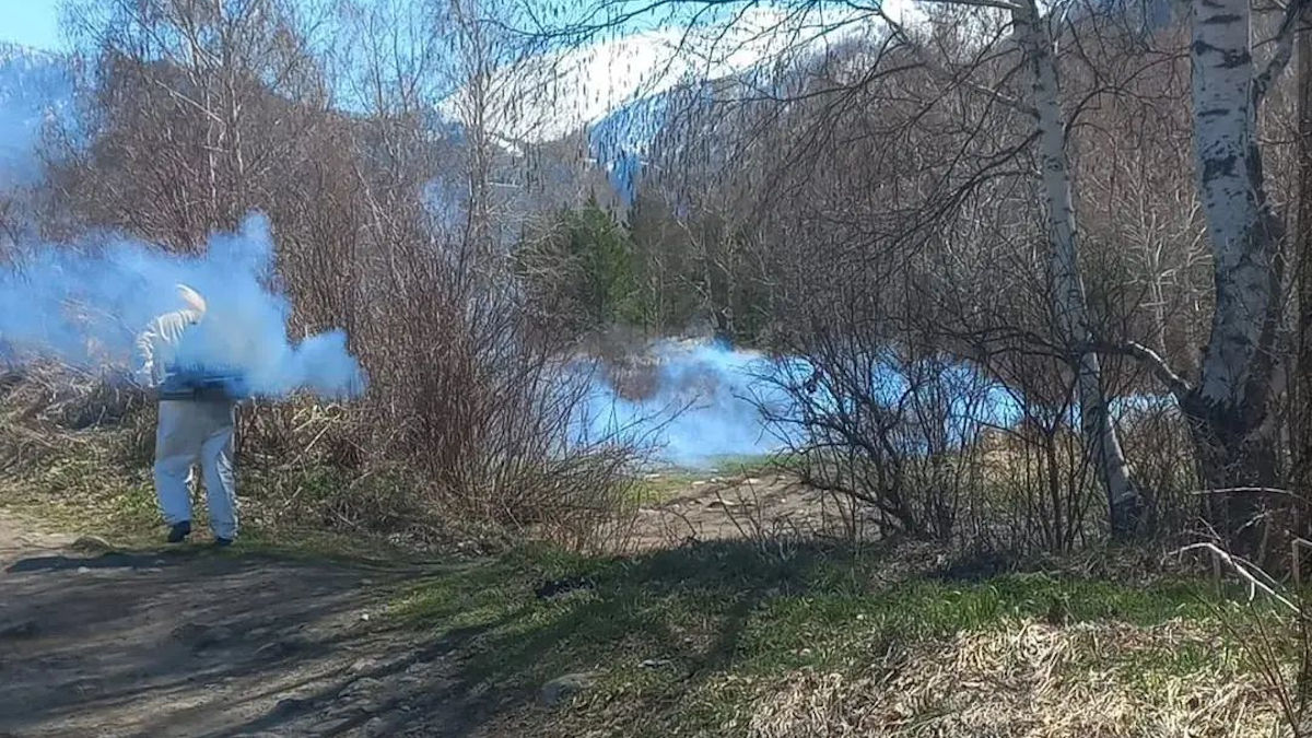 В Риддере началась противоклещевая обработка территорий